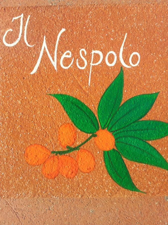 Appartamento Il Nespolo Pomonte Dış mekan fotoğraf