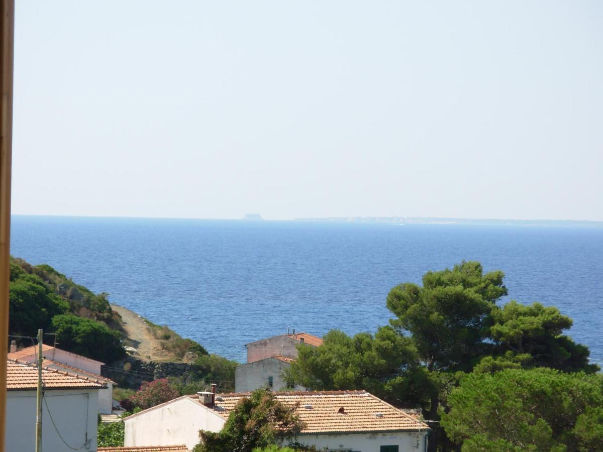 Appartamento Il Nespolo Pomonte Dış mekan fotoğraf